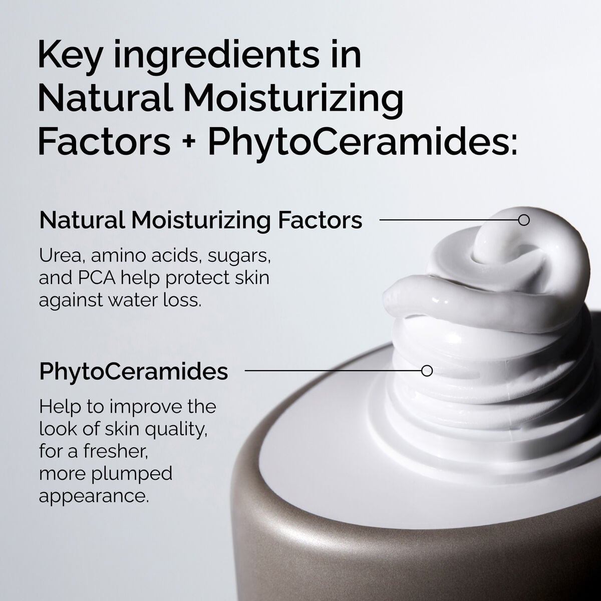 Natural Moisturizing Factors + PhytoCeramides