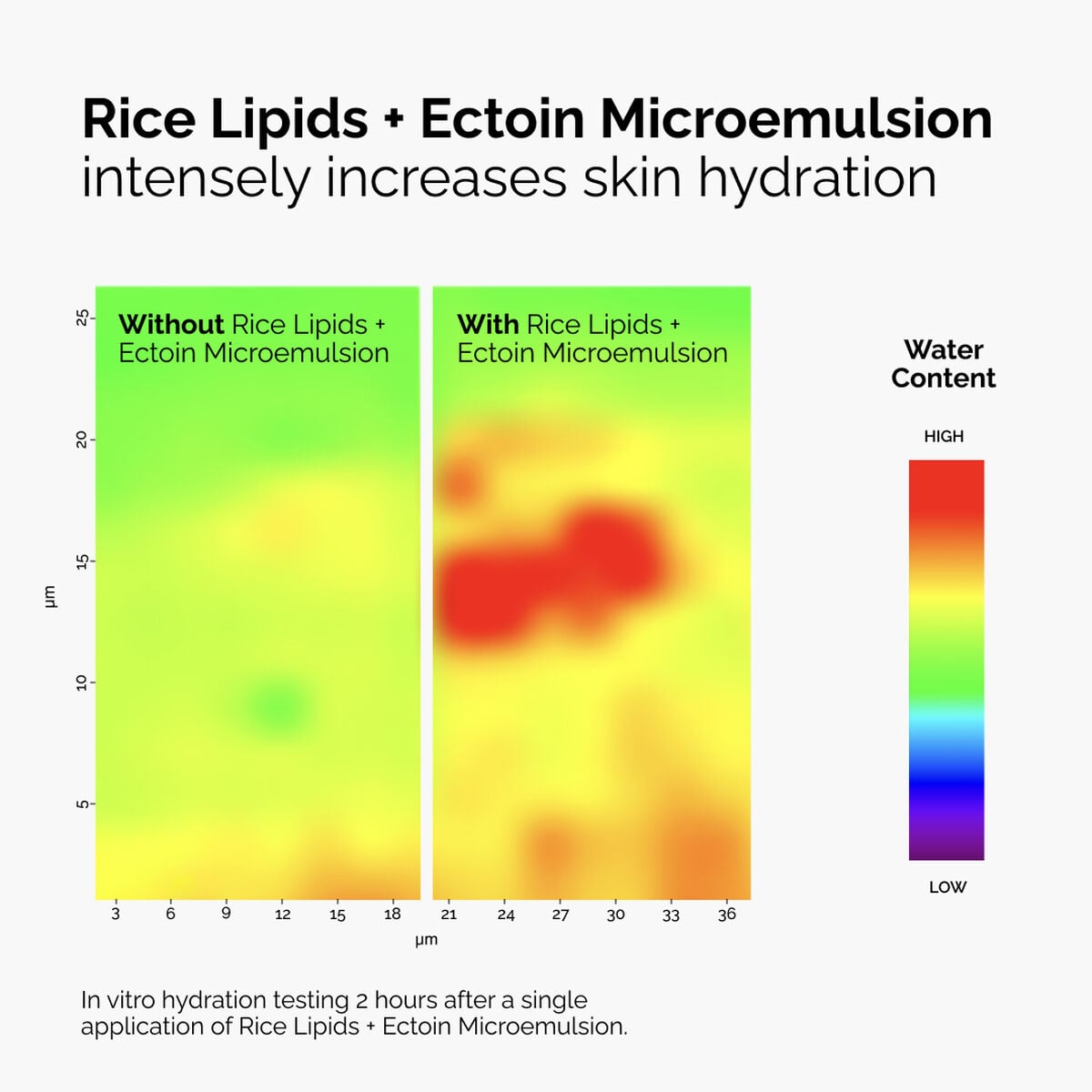 Rice Lipids + Ectoin Microemulsion Curated Care Set W4